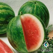 Watermelon Seeds - Triple Score F1