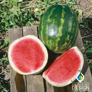 Watermelon Seeds - Triple Star F1