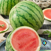 Watermelon Seeds - Triple Treat F1