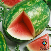 Watermelon Seeds - Triple Yield F1