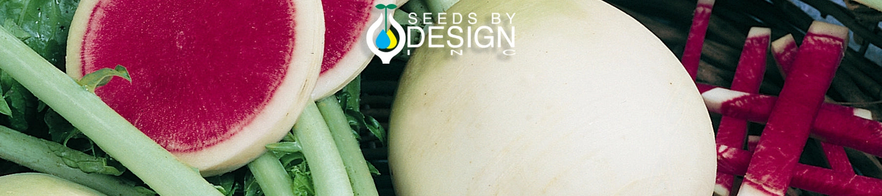Banner //seedsbydesign.com/cdn/shop/t/22/assets/banner-sxd4-lg.webp?v=59344877546431135951709315320