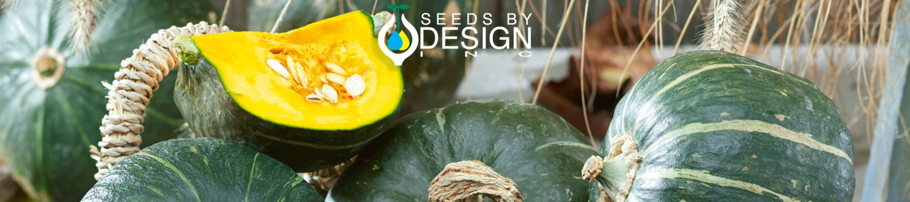 Banner //seedsbydesign.com/cdn/shop/t/31/assets/banner-sxd1-lg.webp?v=72771707142666650971723577161