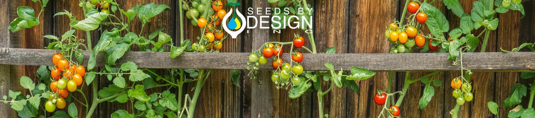 Banner //seedsbydesign.com/cdn/shop/t/31/assets/banner-sxd2-lg.webp?v=113656208335269161791723577161