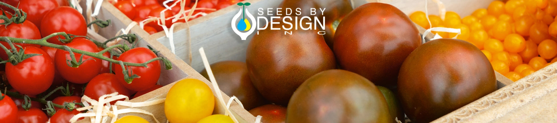 Banner //seedsbydesign.com/cdn/shop/t/31/assets/banner-sxd5-lg.webp?v=148565229026827609411723577163