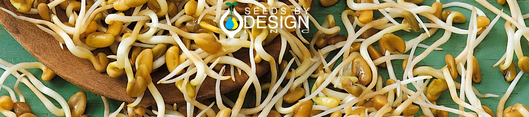 Banner //seedsbydesign.com/cdn/shop/t/31/assets/banner-sxd6-lg.webp?v=155162842271516040981723577163