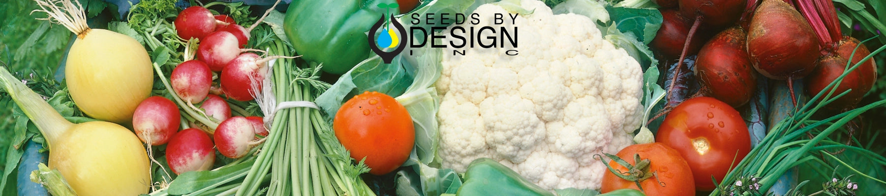 Banner //seedsbydesign.com/cdn/shop/t/31/assets/banner-sxd7-lg.webp?v=135650521111208507681723577163