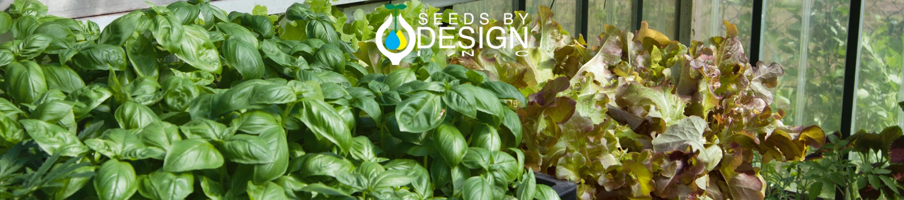 Banner //seedsbydesign.com/cdn/shop/t/31/assets/banner-sxd9-lg.webp?v=21943896068959640051723577164